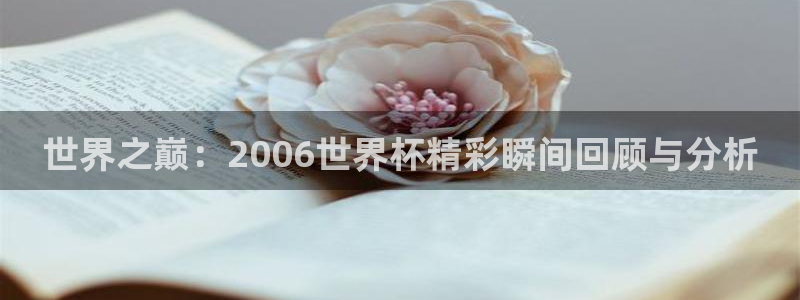 世界杯16强赛程表：世界之巅：2006世界杯精彩瞬间回顾与分析