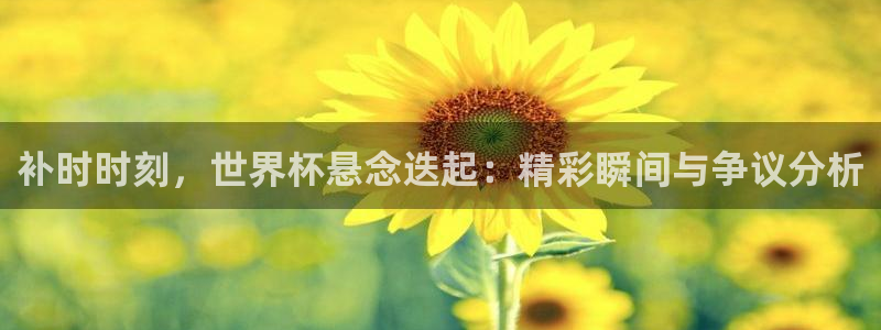 足球世界杯：补时时刻，世界杯悬念迭起：精彩瞬间与争议分析