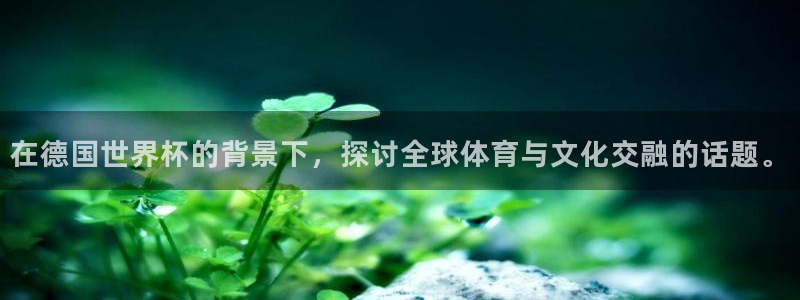 2026世界杯对阵图：在德国世界杯的背景下，探讨全球体育与文化交融的话题。