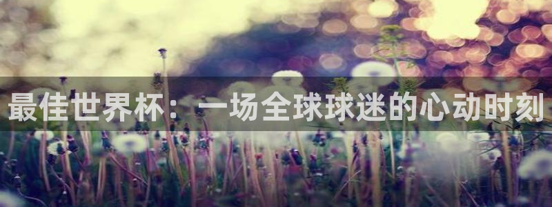 2026年世界杯赛程表时间：最佳世界杯：一场全球球迷的心动时刻