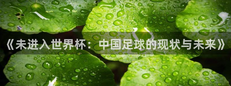 2026世界杯预选赛：《未进入世界杯：中国足球的现状与未来》