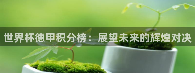 英足总杯直播：世界杯德甲积分榜：展望未来的辉煌对决