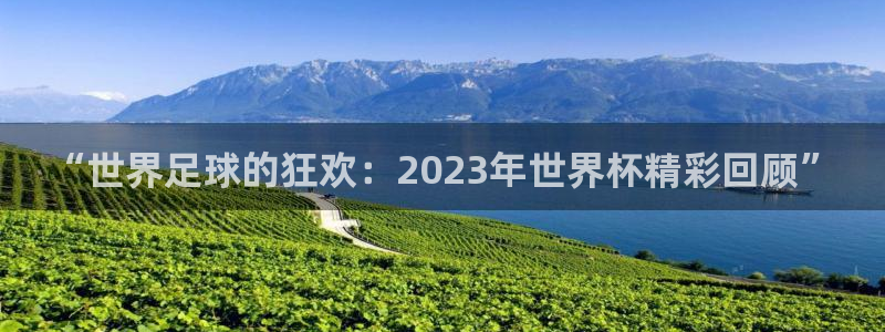 2026年世界杯赛程时间表格：“世界足球的狂欢：2023年世界杯精彩回顾”