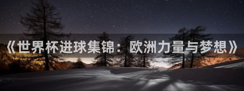 世界杯足球比赛：《世界杯进球集锦：欧洲力量与梦想》