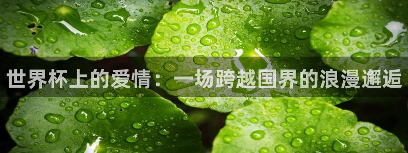 2026世预赛赛程表：世界杯上的爱情：一场跨越国界的浪漫邂逅