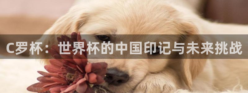 世界杯女足直播：C罗杯：世界杯的中国印记与未来挑战