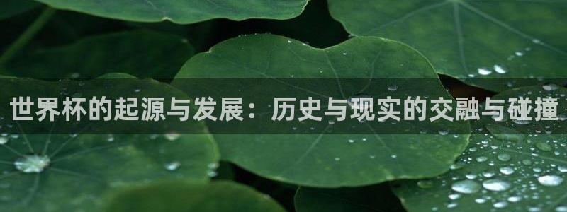 2026世界杯赛程表完整版：世界杯的起源与发展：历史与现实的交融与碰撞