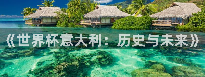 女足世界杯直播在线观看免费高清：《世界杯意大利：历史与未来》
