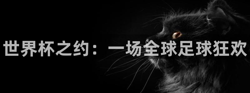 26世界杯：世界杯之约：一场全球足球狂欢
