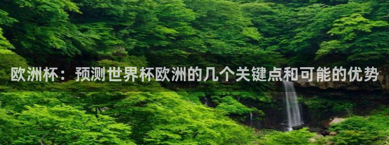 2006年世界杯：欧洲杯：预测世界杯欧洲的几个关键点和可能的优势