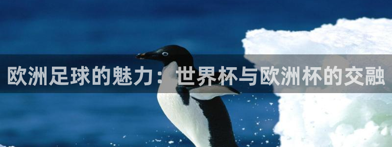世界杯直播平台：欧洲足球的魅力：世界杯与欧洲杯的交融