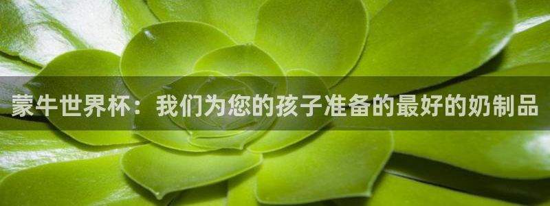 世界杯小组赛赛程：蒙牛世界杯：我们为您的孩子准备的最好的奶制品